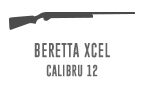 Beretta Xcel
